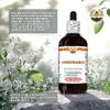 Condurango (Marsdenia Cundurango) Dry Herb Tincture, Made in Hawaii, All Natural, Vegan, Pure Liquid Extract - 32 fl.oz view 3