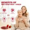 ABYSSUS Red Yeast Rice with CoQ10 Gummies - 1200mg Red Yeast Rice Extract, Plant Sterols & Policosanol | Sugar Free Vegan Supplement for Adults | 60 Count view 3