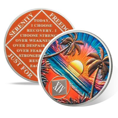 Vitalway Beach Sunset 14 Year Sobriety Coin, NA Recovery Medallion