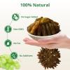 Naturebliss Regal Green Raisins, Jasmine Notes, Long-Grain, Premium Jumbo Seedless Grapes Dried Fruit Snacks, No Sugar Added, Non-GMO, Naturally Dried Raisins, Healthy Energy Snacks (6 OZ/Pack of 1) view 3