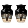 Elephant Urn for Ashes for Women, Cremation Urn for Ashes Adult Male, Burial Urns for Human Ashes Adult Man, Memorial Urns for Human Ashes Keepsake(Size - 3inch, 2 Pcs) view 1