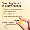 GRETHER'S Sugarfree Ginger Lemon Pastilles Premium Swiss Throat Lozenges for Dry Mouth & Throat Comfort Citrus-Fresh Flavor Gluten & Lactose Free Gift for Singers 3.75 oz, 4 Pack view 2