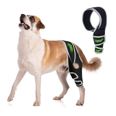 KISFLY Dog Knee Brace for Torn ACL Hind Leg, Dog Front Leg Brace for Shoulder Dislocation, Dog Brace for Older and Athletic Dogs, Reducing the Risk of Joint Injuries, Comfortable and Adjustable L