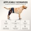 KISFLY Dog Knee Brace for Torn ACL Hind Leg, Dog Front Leg Brace for Shoulder Dislocation, Dog Brace for Older and Athletic Dogs, Reducing the Risk of Joint Injuries, Comfortable and Adjustable L view 2