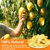 5 Oz Premium Freeze-Dried Mango Sliced, Freeze Dried Fruit Mangoes, Crunchy Natural Snack with Low Calories, Fresh Mango-Chips, Fruit Snacks for Kids, Travel, Smoothie, Yogurt, Baked Goods, Holiday Gifts view 2