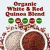 Food to Live Organic Raw White and Red Quinoa Blend, 1 Pound Whole, Nutritious, High in Protein and Fiber, Perfect for Salads and Smoothies, Non-GMO, Vegan, Kosher, Bulk view 3