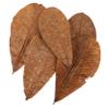 JECOMPRIS 20pcs Sushi Leaf Decorations Japanese Food Decorations Wide Application Range Suitable for Wedding Garden Balcony Decor