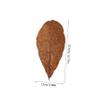 JECOMPRIS 20pcs Sushi Leaf Decorations Japanese Food Decorations Wide Application Range Suitable for Wedding Garden Balcony Decor view 2