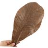 JECOMPRIS 20pcs Sushi Leaf Decorations Japanese Food Decorations Wide Application Range Suitable for Wedding Garden Balcony Decor view 3