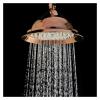 Hand Top Head Shower Rain Fall Classic Top Ceramic Porcelain Plastic Matt Black Rose Shine Chrome Rain Fall For Bathroom(DS0020TG-86) view 3
