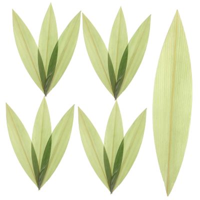ABOOFAN 100pcs Bamboo Leaves Sushi Serving Tray Decorative Sashimi Dish Leaves for Elegant Dining Grilled Meat Presentation and Food Decoration