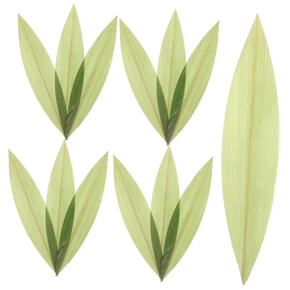 ABOOFAN 100pcs Bamboo Leaves Sushi Serving Tray Decorative Sashimi Dish Leaves for Elegant Dining Grilled Meat Presentation and Food Decoration