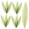 ABOOFAN 100pcs Bamboo Leaves Sushi Serving Tray Decorative Sashimi Dish Leaves for Elegant Dining Grilled Meat Presentation and Food Decoration