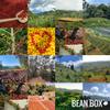 Fresh Perspective - Ethiopia - Roasted by Greater Goods Coffee Co. - Whole Bean Coffee - 2 Pound Bag view 4