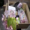 FujibacoTaste of Japan: Matcha and Sweets Delights view 4