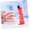 Healeved 4pcs Mini Denture Brush Portable Double-Head Cleaning Toothbrush for Adults Denture Cleaning Spoolies for Home Oral Care view 3