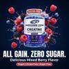 Chewable Creatine Monohydrate Gummies 5000mg Sugar-Free Creatine Chews, No Powder, No Shaker, No Mess, No Bloat Easy On-the-Go Supplement for Strength Training & Muscle Recovery 60ct Mixed Berry view 4