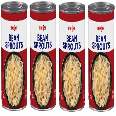 Bean Sprouts (4 Cans, 15 oz. each)