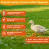 Ourea Brewer's Yeast with Niacin for Ducks, Supports Immunity Molt Recovery Severe Stress, Vitamins B Protein Amino Acids Supplement to Support Legs Bone Feather Health Growth Digestion for Duckling view 2