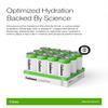 Cadence Electrolyte Drink - Citrus Flavor, 355ml x 12 | Science-Backed Hydration | Zero Sugar, Zero Caffeine | Sodium, Potassium & Magnesium for Performance & Recovery view 3