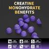 Nutravita Creatine Monohydrate Gummies for Men & Women-5g of Creatine Monohydrate per Serving - Sugar Free,Vegan, Grapes Flavor, 120 Count view 4