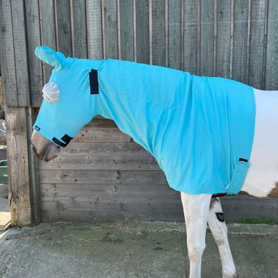 Fly Hood for Horse and Pony | Ultimate Protection from Sweet Itch, UV Rays, Flies and Insects | Snuggy Hoods | Zip Version | 3 Colors, 8 Sizes