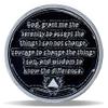 2 Year Panda Skull Sunflower Sobriety Coin Burning Brighter NA Medallion Spiritual Token for Recovery & Clean Time NA AA Chips Gift for Men & Women view 2