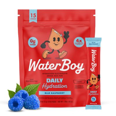 Waterboy Daily Hydration, Blue Raspberry, Sugar Free Electrolytes 15ct