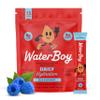 Waterboy Daily Hydration, Blue Raspberry, Sugar Free Electrolytes 15ct view 1