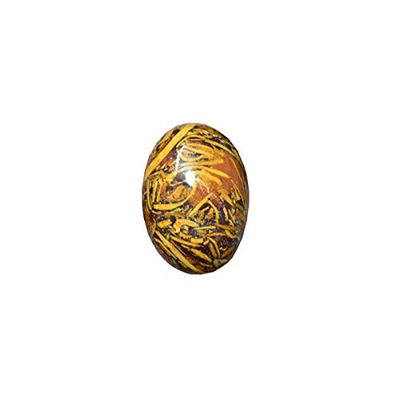 10.50 Carat Natural Mariyam Fossil Healing Gemstone Mineral Mariyam Gemstone Cabochon Untreated Stone-B0DKBY9ZMRNAMZ, zzzz-s, Gemstone