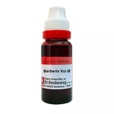 Dr Reckeweg Berberis Vulgaris 1X (Q) (20ml)