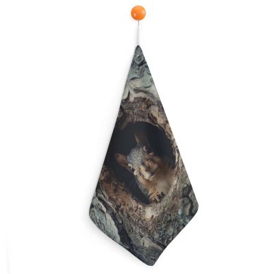 GHENBLT Squirrel in The Tree Hole 1PCS Kitchen Hand Towel Super Absorbent Microfiber Cleaning Cloth Fast Drying Tea Towels with Hanging Loop Soft Dish Towels for Kitchen Dish Rags Decorative Set