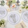 Sykomo 100PCS White Plastic Plates, 10 Inch Disposable Dinner Plate Party with Silver Rim, Heavy Duty Disposable Plastic Plates for Party, Wedding and Birthday view 3