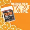Cybergenics Creatine Monohydrate Gummies, Pure Creatine, Supports Muscle Recovery, Improve Performance and Strength, Gluten Free, 60 Servings, Orange Flavor view 4