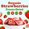 Food to Live Organic Freeze-Dried Strawberries, 2 Ounces 100% Natural Berries, No Sugar Added, Vegan and Nutritious Snack Perfect for Smoothies and Baking, Non-GMO, Kosher, Bulk view 3