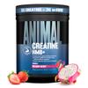 Animal Creatine HMB Powder 3g myHMB + 5g Creatine with Electrolytes for Recovery & Daily Energy Dragon Berry Flavor, 30 Servings view 1