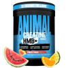 Animal Creatine HMB Powder 3g myHMB + 5g Creatine with Electrolytes for Recovery & Daily Energy Power Punch Flavor, 30 Servings view 1