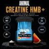 Animal Creatine HMB Powder 3g myHMB + 5g Creatine with Electrolytes for Recovery & Daily Energy Power Punch Flavor, 30 Servings view 2