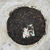 2008 Yiwu Zhengshan Qiaomu Early Spring Raw Pu-erh Tea Cake Special Edition, 357g, from Yunnan view 2