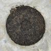2008 Yiwu Zhengshan Qiaomu Early Spring Raw Pu-erh Tea Cake Special Edition, 357g, from Yunnan view 3