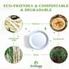 10 Inch Biogreenpaper Round Plate (150Pcs) | (6" Inch to 12" Inch) |100% Compostable, Disposable,Heavy Duty. 100% Sugarcane/Bagasse Natural Biodegradable, Eco-Friendly |(50X3) 150/Pack| view 3