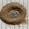 Crystals Rocks - 1mm and Smaller - sm Chips/Powder - 1 Pound - 100% Crystal Life+Love! Cleansing Charging Forever! 1m1p (Snakeskin Obsidian) view 4