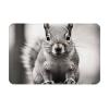Front Door Mat Indoor Outdoor Welcome Mat, Light Gray Squirrel Doormat Easy Clean Entryway Mats Stain and Fade Resistant Entry Rug Absorbent Flannel Bath Mats 16 x 24 Inch view 2