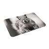 Front Door Mat Indoor Outdoor Welcome Mat, Light Gray Squirrel Doormat Easy Clean Entryway Mats Stain and Fade Resistant Entry Rug Absorbent Flannel Bath Mats 16 x 24 Inch view 3