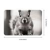 Front Door Mat Indoor Outdoor Welcome Mat, Light Gray Squirrel Doormat Easy Clean Entryway Mats Stain and Fade Resistant Entry Rug Absorbent Flannel Bath Mats 16 x 24 Inch view 4