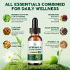 (2 Pack) Organic Moringa Liquid Drops, Moringa Supplement with Turmeric, Black Pepper, Grape Seed Extract, Pure Moringa Oleifera Leaf Extract for Skin, Gut, Immune Support, More Potency Than Powder view 3
