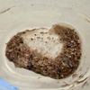 Ruby Sapphire - 1mm and Smaller - sm Chips/Powder - pounds - 100% Crystal Life+Love! Cleansing Charging Forever! 1mlbs(Ruby Sapphire FM, 10 Pounds) view 4