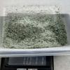 Bloodstone - 1mm and Smaller - sm Chips/Powder - pounds - 100% Crystal Life+Love! Cleansing Charging Forever! 1mlbs(Bloodstone, 10 Pounds) view 3