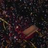 Alipis 50g French Oak Chips for Red Wine Making Natural Wood Chips for Home Brewing Supplies for Aging Wines view 2