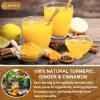 120 Bags Premium Turmeric Ginger Cinnamon Tea, 100% Natural Ingredients Blend, Pure Turmeric Ginger Herbal Tea for Wellness, No Additives, No Sugar, No Caffeine, Vegan (120 Bags) view 4